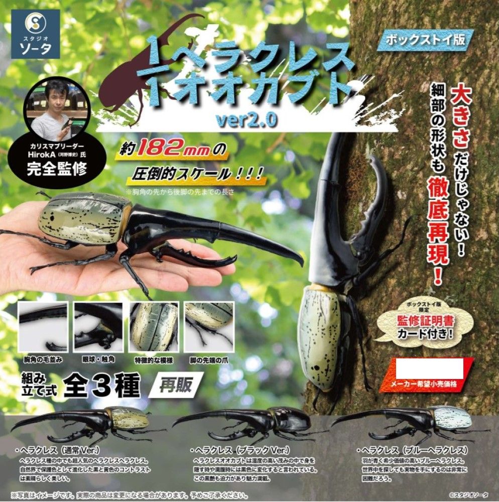 Hercules Beetle Ver.2.0 1/1 Scale