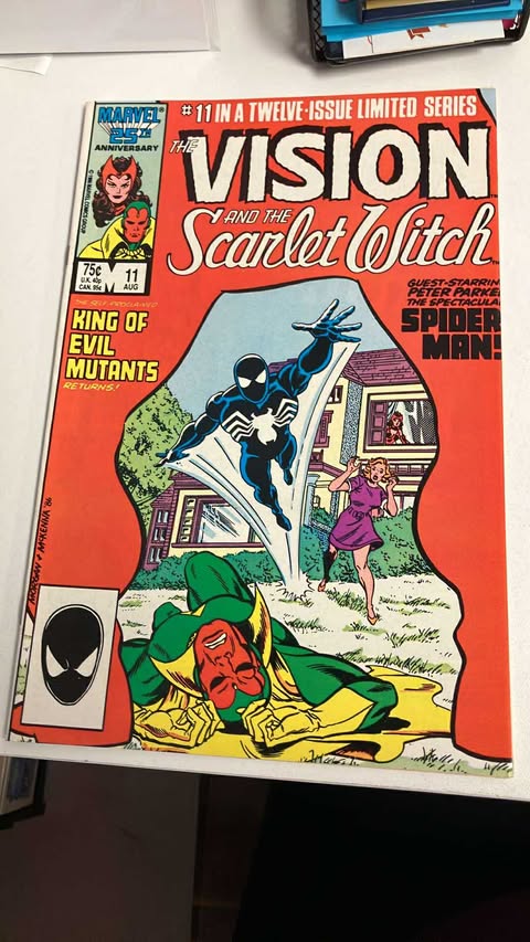 The Vision and the Scarlet Witch #11