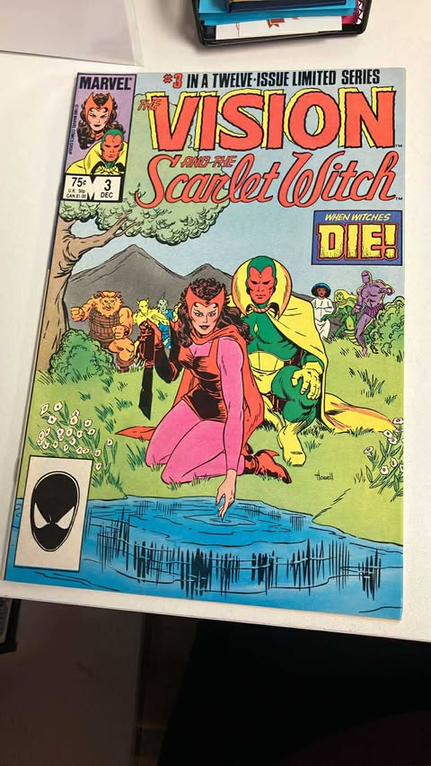 The Vision and the Scarlet Witch #3