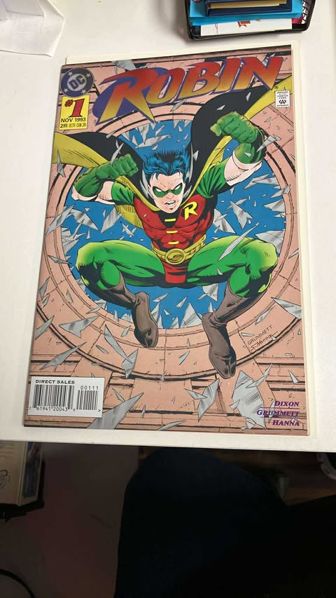 Robin #1