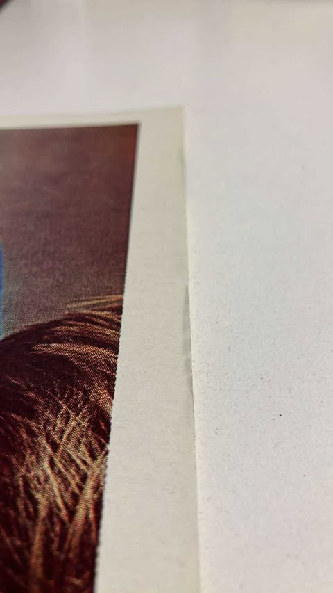 The Further adventures of Indiana Jones #1