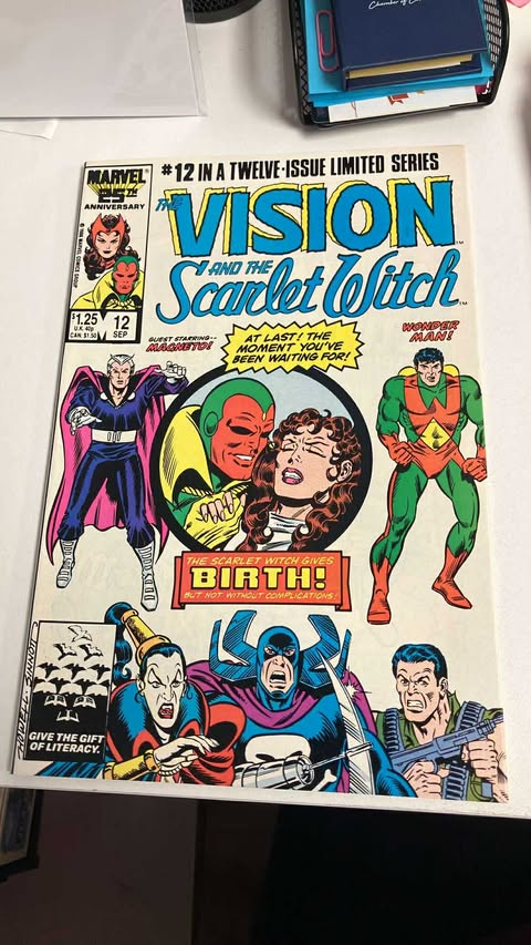 The Vision and the Scarlet Witch #12