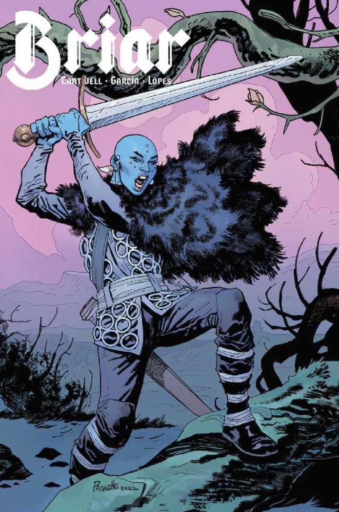Briar #2 (Of 4) Cover B Paquette