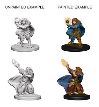 RPG Miniatures