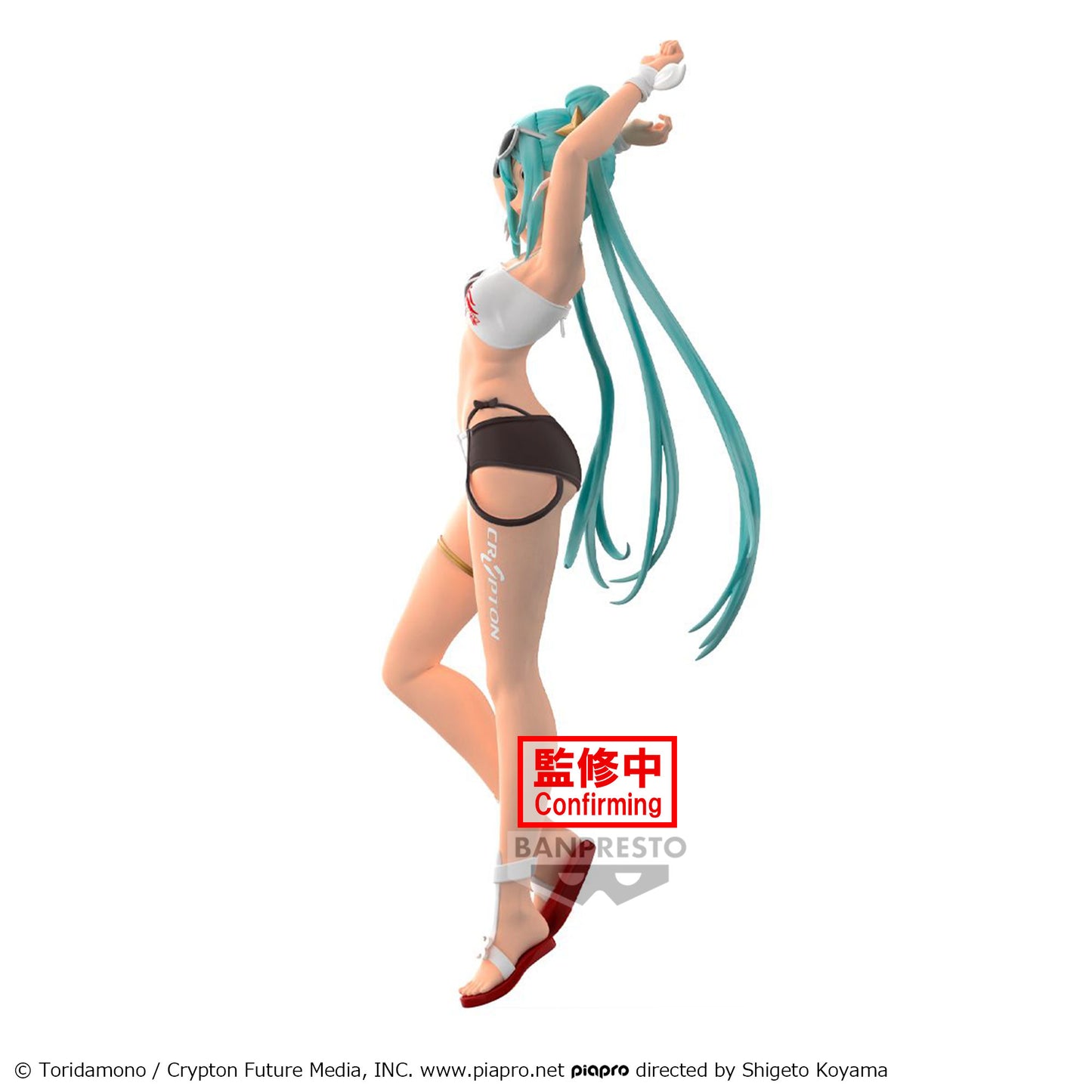 HATSUNE MIKU RACING RACING MIKU2023 TROPICAL FIG