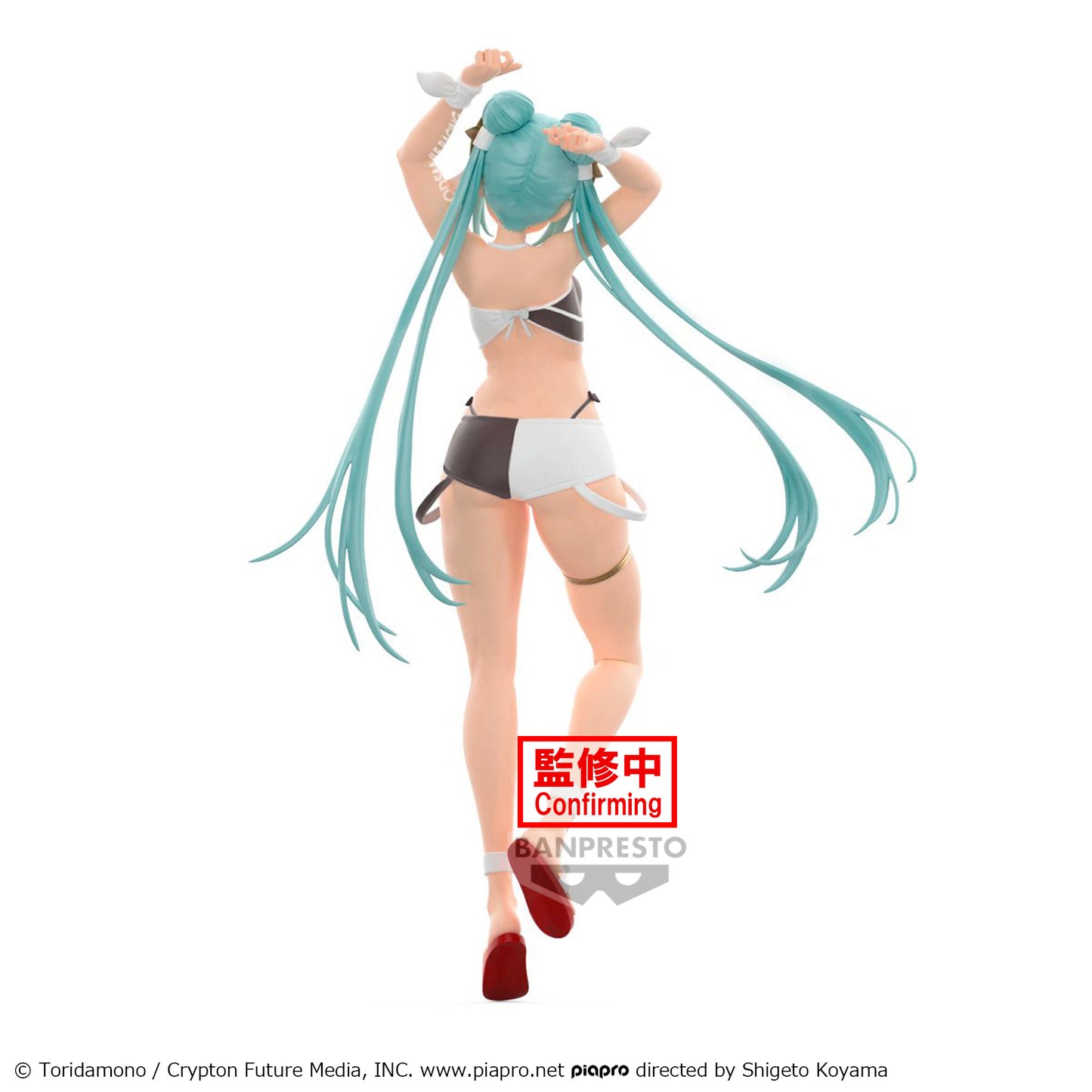 HATSUNE MIKU RACING RACING MIKU2023 TROPICAL FIG