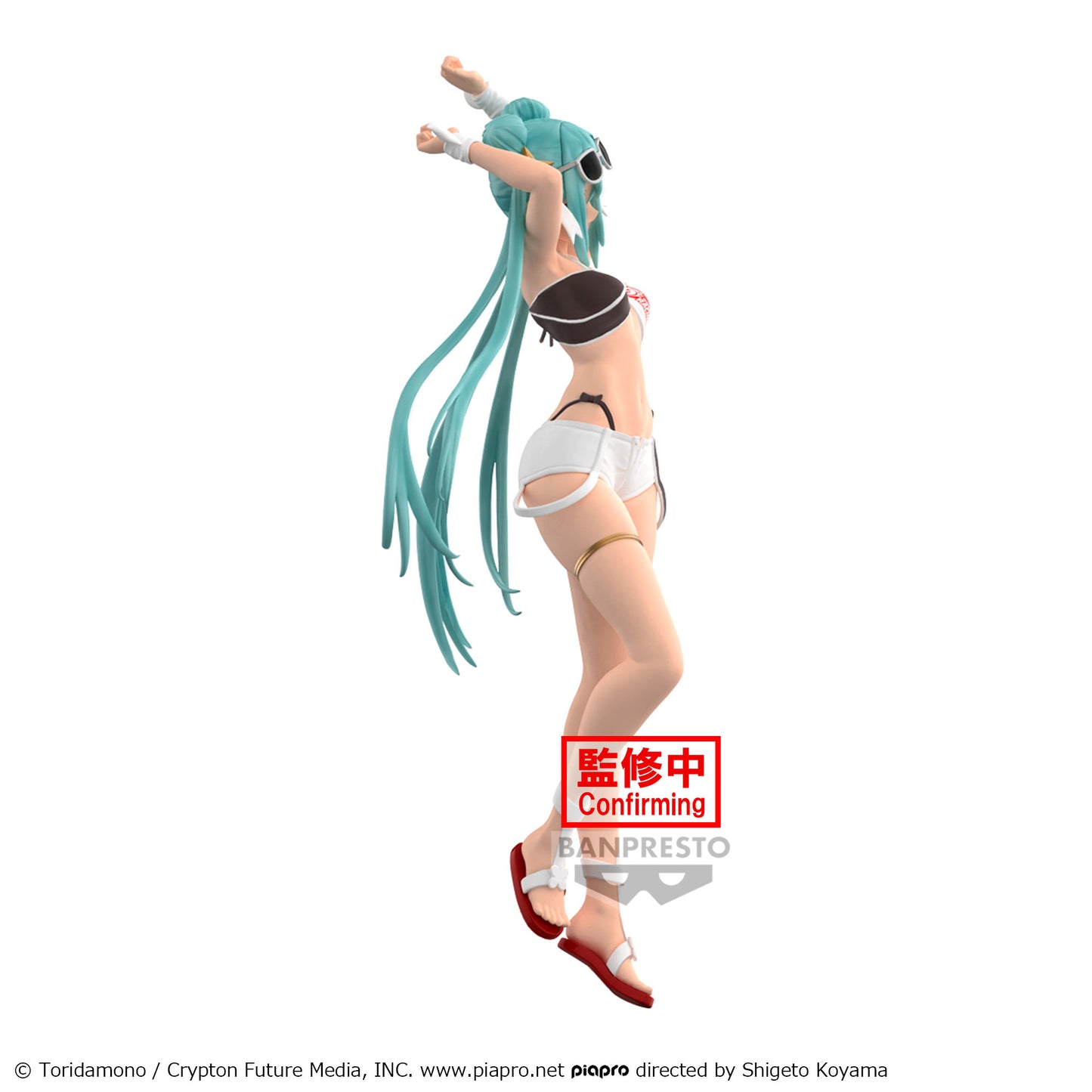 HATSUNE MIKU RACING RACING MIKU2023 TROPICAL FIG