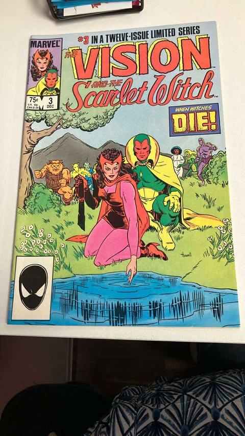 The Vision and the Scarlet Witch #3 (FN)