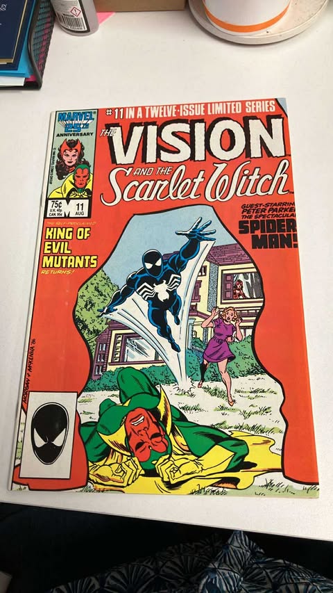 The Vision and the Scarlet Witch #11 (FN)
