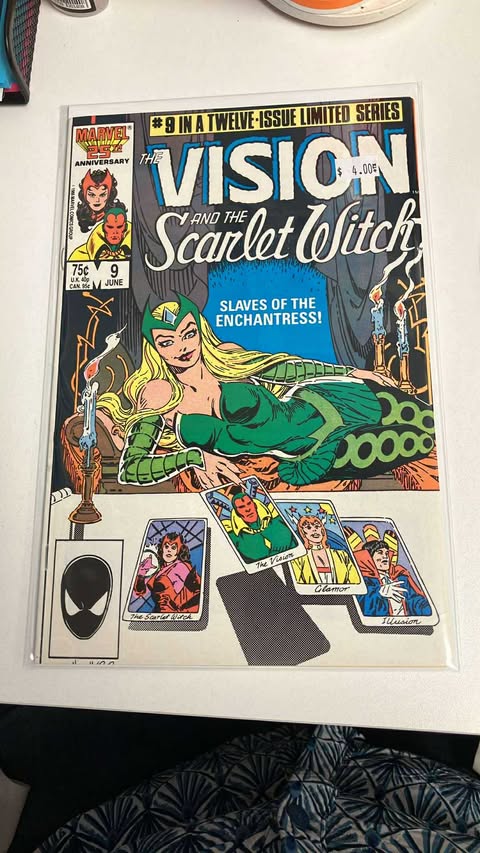 The Vision and the Scarlet Witch #9 (NM)