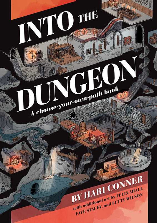 Into the Dungeon by Hari  Conner