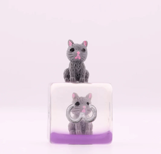 Cozy Cat Dice Set