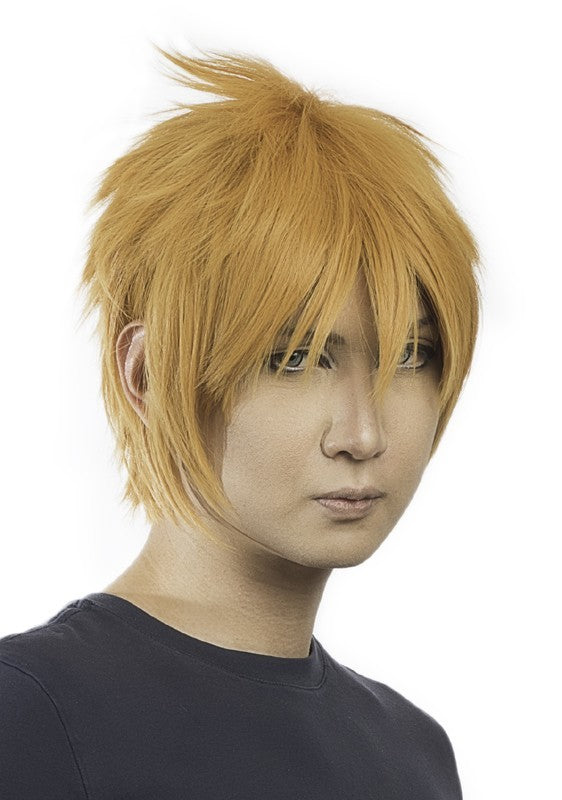 Purple Plum Sora Wig