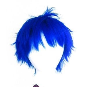 Purple Plum Shiki Wig