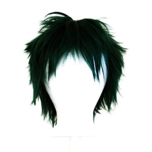 Purple Plum Shiki Wig