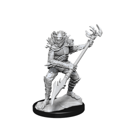 RPG Miniatures