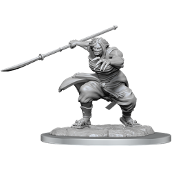 RPG Miniatures