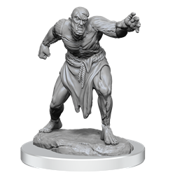 RPG Miniatures