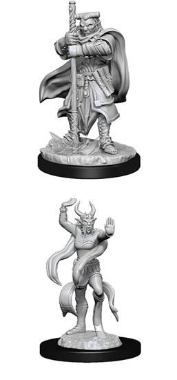 RPG Miniatures