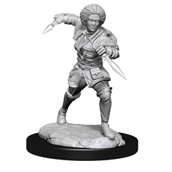 RPG Miniatures
