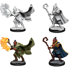 RPG Miniatures