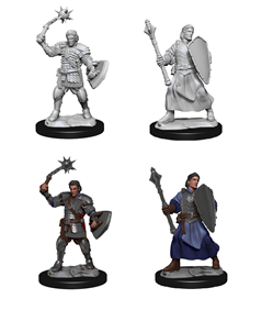RPG Miniatures
